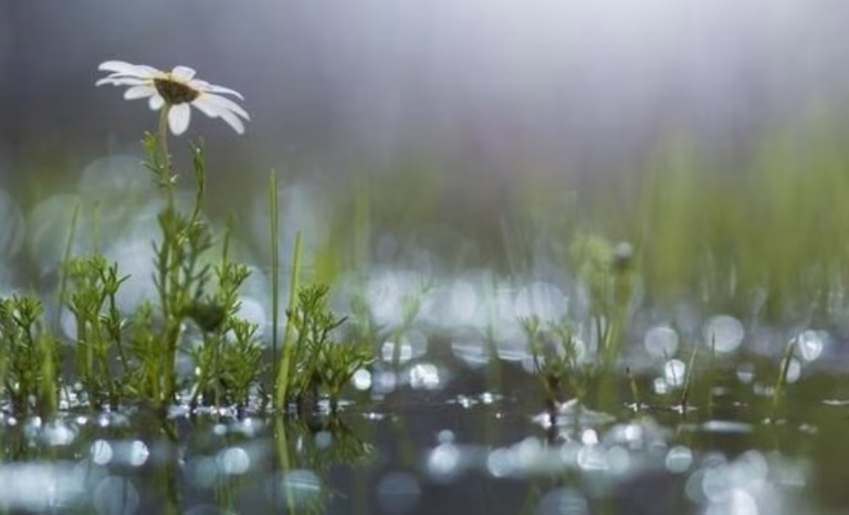 ВРЕМЕТО ДЕНЕС: Променливо облачно со слаб ветер