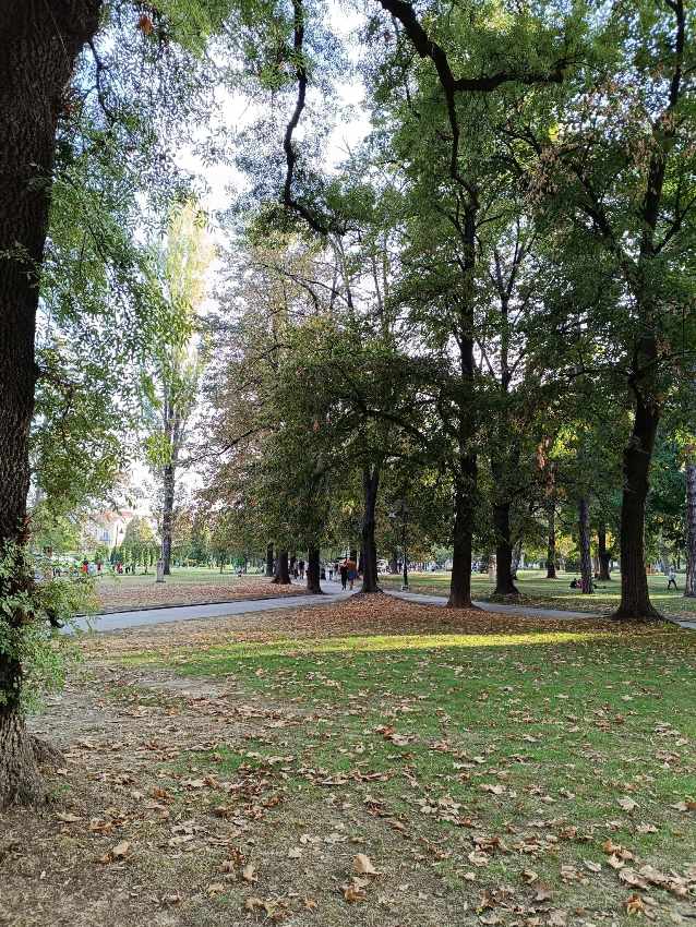 Стабилно време со студени утра и во наредните денови